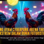 Membedah Jenis Ayam Bangkok dalam Sabung Ayam SV388