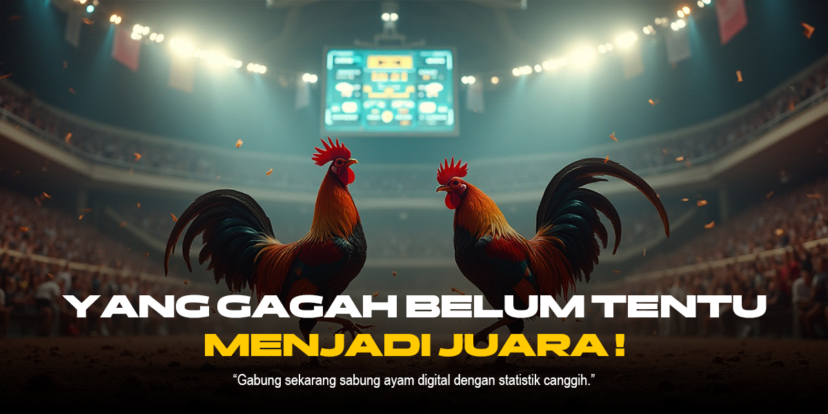 Sensasi Adu Ayam: Lebih dari Sekadar Tradisi, Sebuah Fenomena Budaya