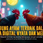 Mengupas Tuntas Sabung Ayam SV388: Jenis, Odds, dan Keunikan Provider