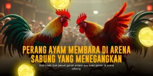 Menggali Kelebihan Ayam Bangkok dalam Sabung Ayam SV388