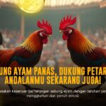 Mengenal Ayam Bangkok: Raja Sabung Ayam yang Legendaris