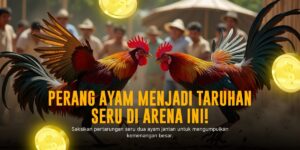 Mengulik Dunia Sabung Ayam SV388: Sensasi dan Peluang Taruhan