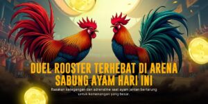 Sv388: Provider Sabung Ayam Favorit dengan Odds Menguntungkan